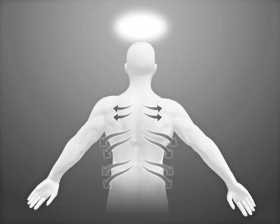 Stryk utmed nervbanorna som förgrenar sig ut från ryggraden, runt till framsidan av kroppen.